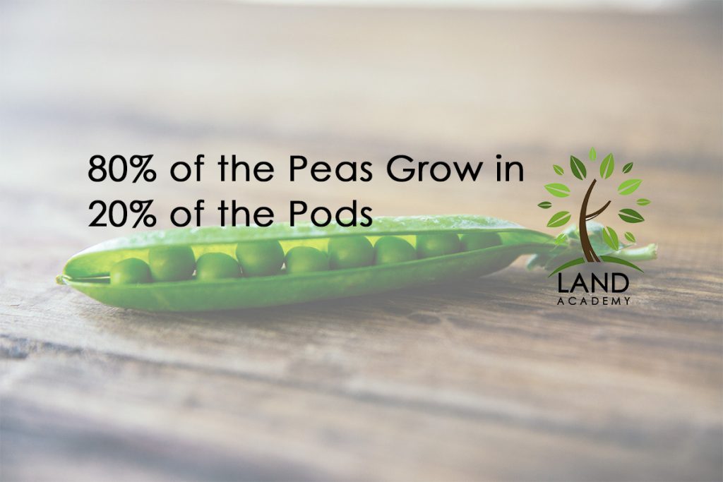 80 of the Peas Grow in 20 of the Pods