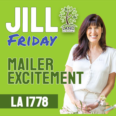 WP Jill Friday Mailer Excitement LA 1817 copy