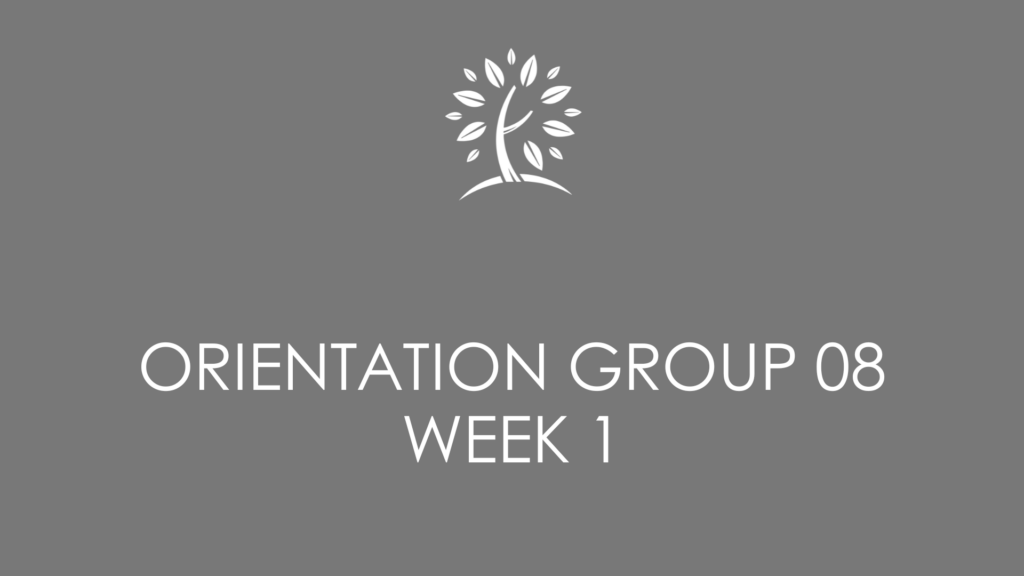 orientation group 08 week 1 lock