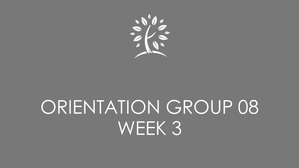 orientation group 08 week 3 lock