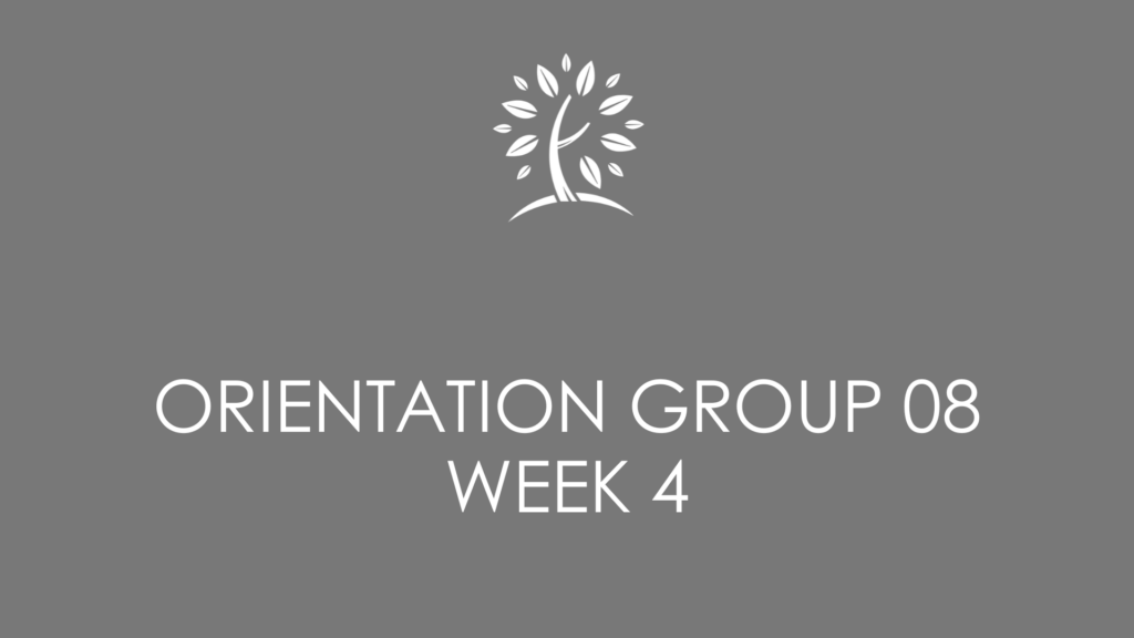 orientation group 08 week 4 lock