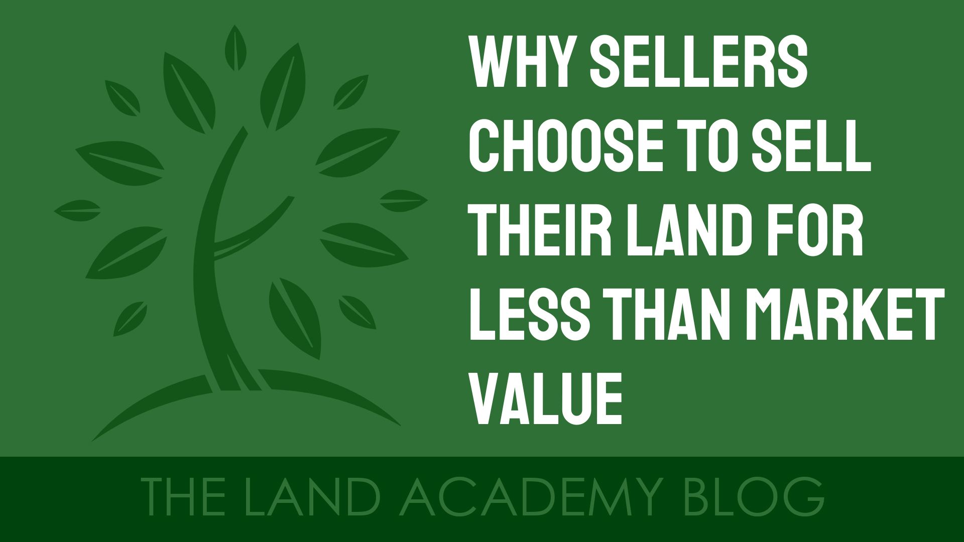 Why Sellers Choose to Sell Their Land for Less Than Market Value Land